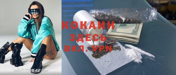 прущие грибы Снежногорск