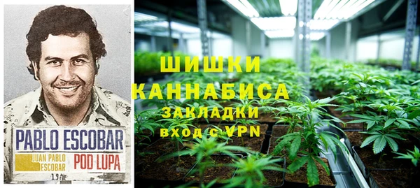 мдпв Слюдянка