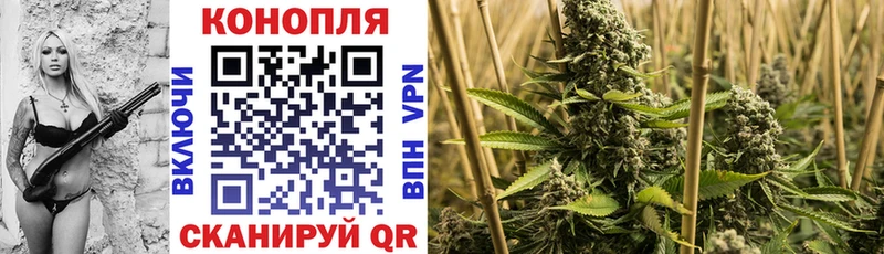 Бошки Шишки ГИДРОПОН  купить  цена  Венёв 